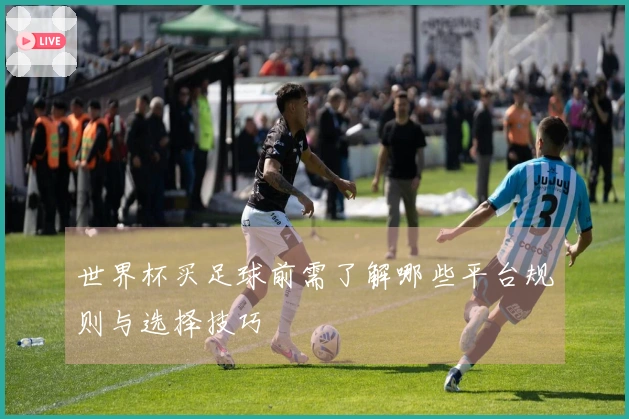 MK体育体育资讯图片