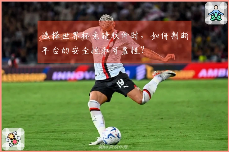 选择世界杯竞猜软件时，如何判断平台的安全性和可靠性？